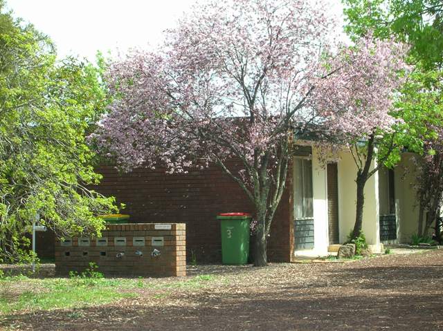 1-7/15  HUME STREET, MULWALA, 2647